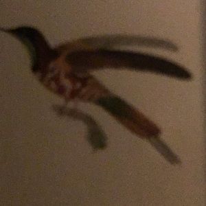 Meet your Posher, Latoya